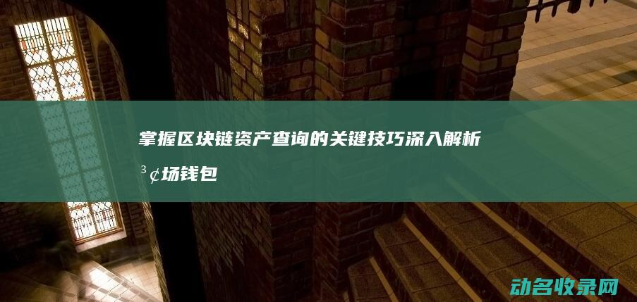 掌握区块链资产查询的关键技巧 深入解析波场钱包 (掌握区块链资源的方法)