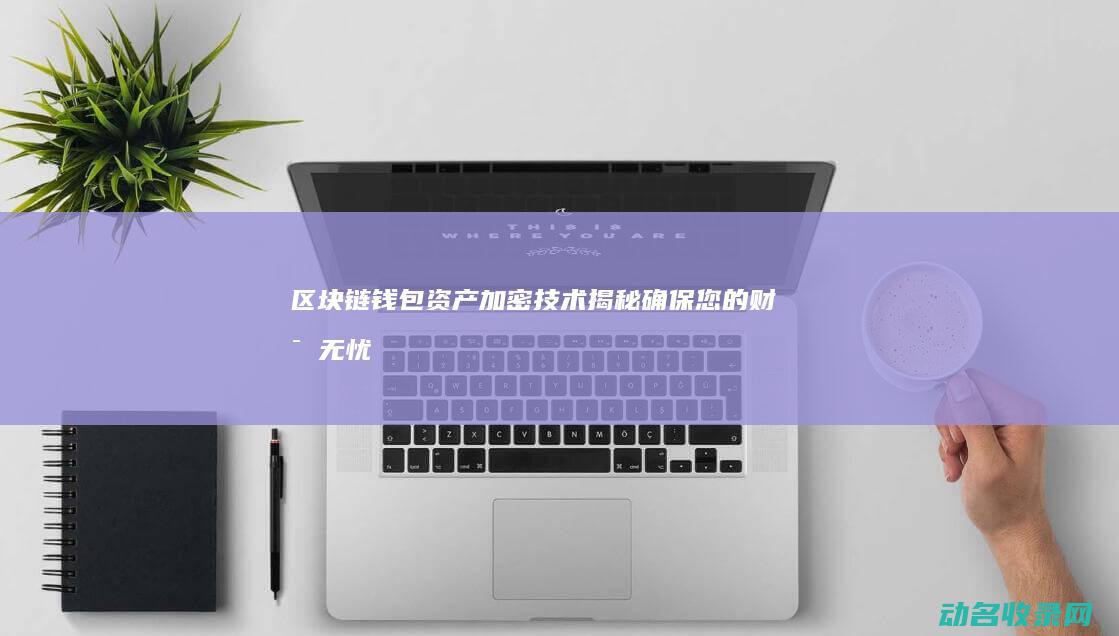 区块链钱包资产加密技术揭秘 确保您的财富无忧 (区块链钱包资产被套都有什么套路)