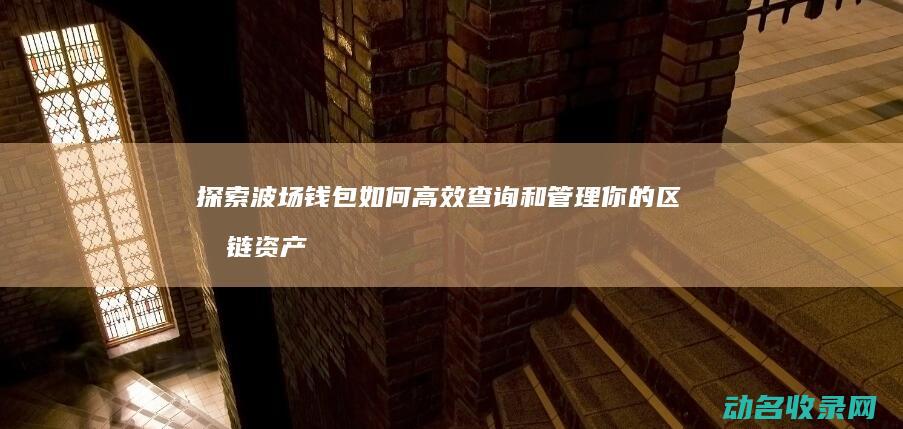 探索波场钱包 如何高效查询和管理你的区块链资产 (波场钱包使用教程)