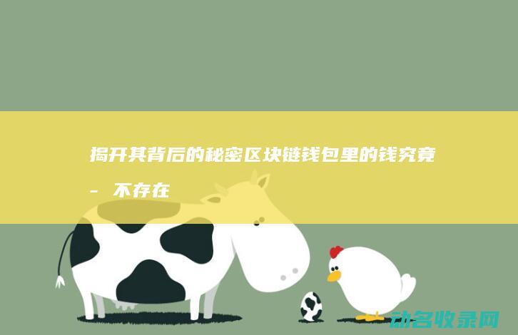揭开其背后的秘密 区块链钱包里的钱究竟存不存在 (揭开背后的故事)