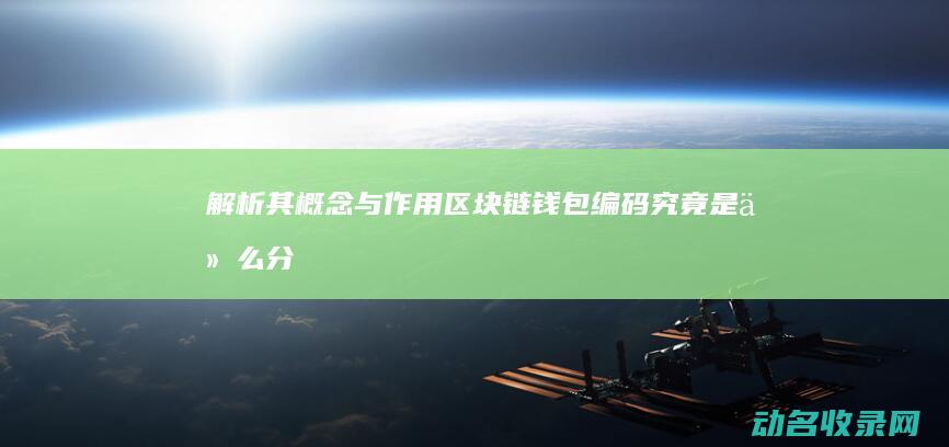 解析其概念与作用 区块链钱包编码究竟是什么 (分析解释概念的主要方法有)