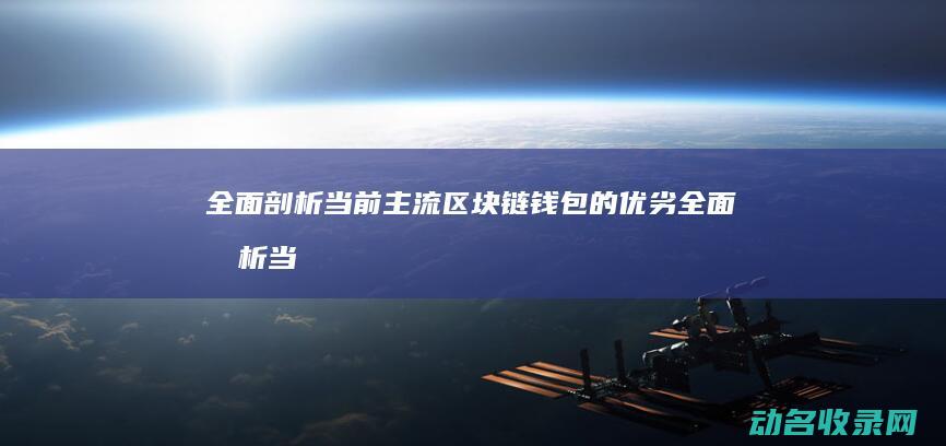 全面剖析当前主流区块链钱包的优劣 (全面剖析当前社会环境)